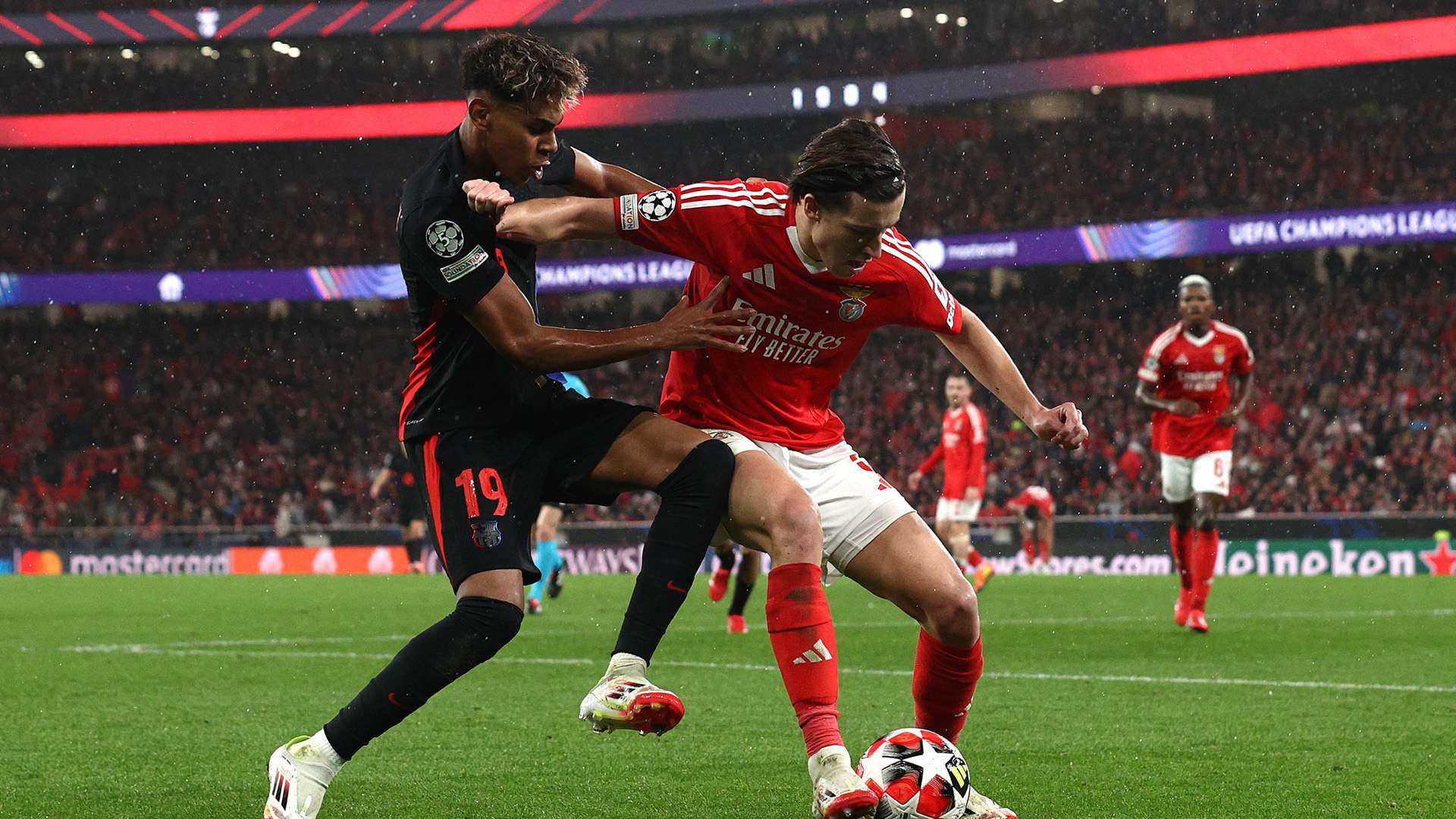 的努力赢得 的努力赢得